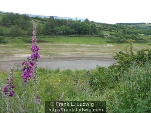 Lough Nasool Drained (2006)